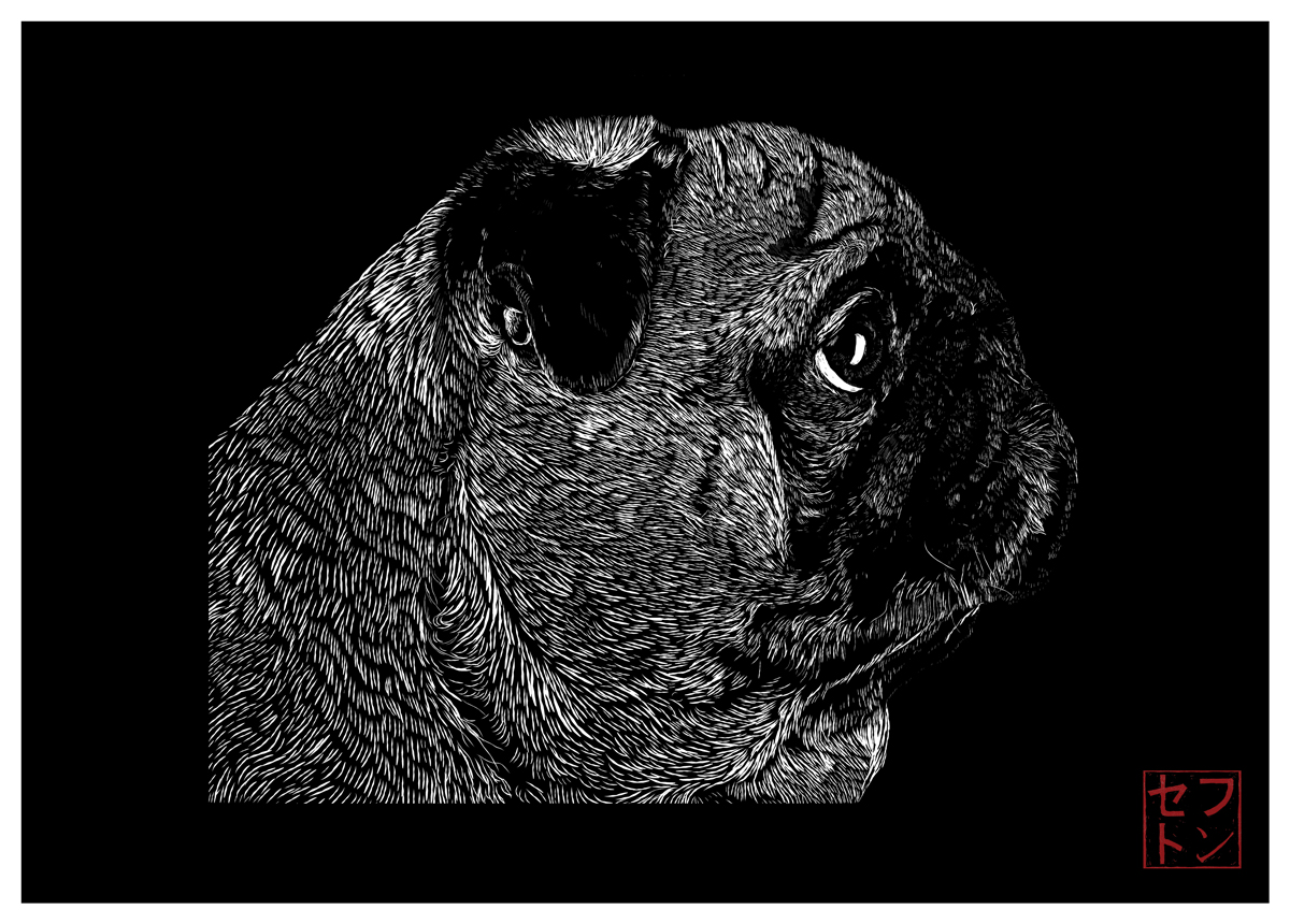 Black Rhino Co. [T-shirt design #001 Pug]