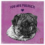 Happy Puggentines!