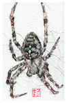 Guardian Spider by JackSephton