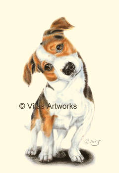 Barney, Jack Russell