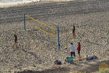 Vollyball Practice