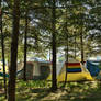 Fellow Camp Sites 6