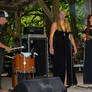 2017 Faerieworlds 392