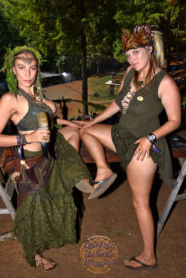 2017 Faerieworlds 303