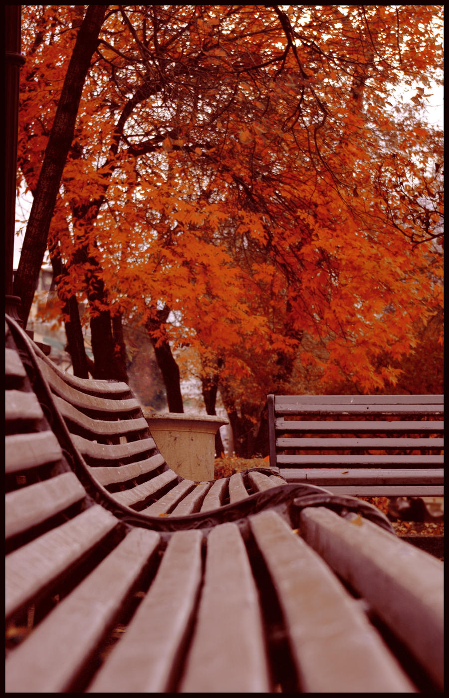 red boulevard