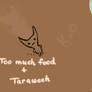 Teddy says: Too much food + Taraweeh = K.O