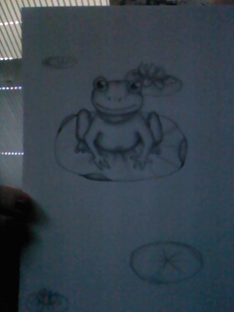 Frog Scetch