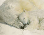 Polar Bear - Mother's Love by evomind