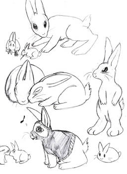 Bunnies