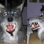 Grey 'Pirate' werewolf mask commission