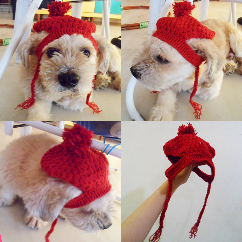 Doggy Beret Crochet Hat Pattern