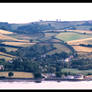 devon summer fields