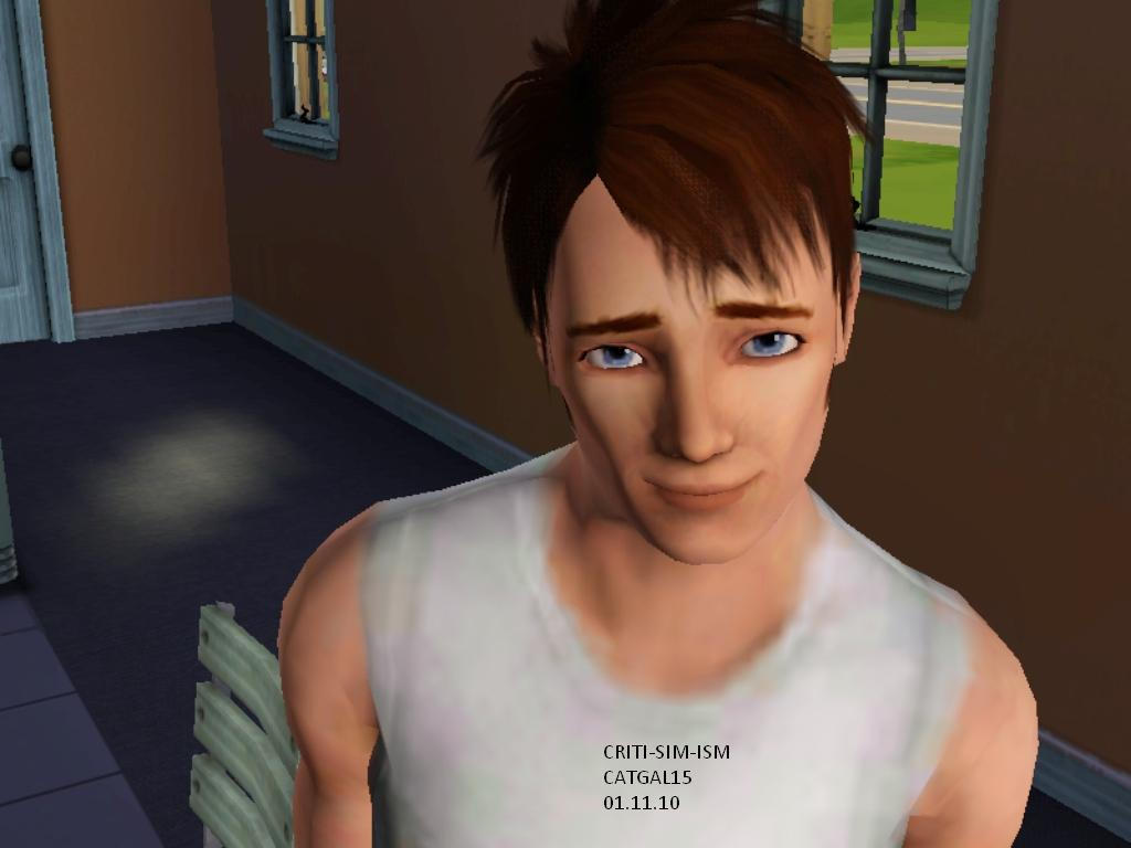 Criticsims Criti-Sim-ism by CatGal15 on DeviantArt