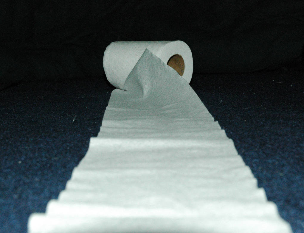 potty paper by flyingmonk1987 on DeviantArt