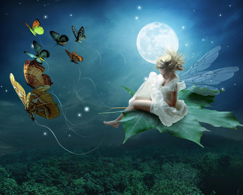 Moonlit Fairy