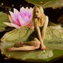 Water Lily Fairy