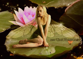 Water Lily Fairy