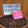 Avocado Hank-Tree