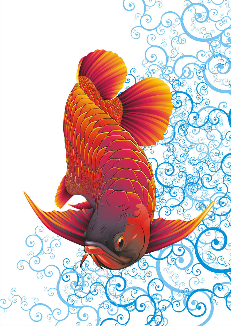 Arowana Vector by dnhart13 on DeviantArt Arowana Vector by dnhart13 on DeviantArt
