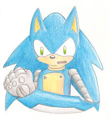 Robo Sonic