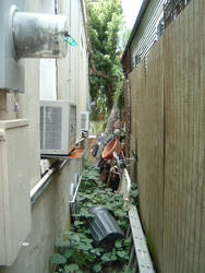New Orleans 1: Alley