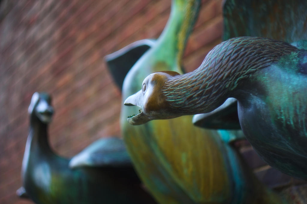 Deviantart Goosed Gooses by SmartDen on DeviantArt