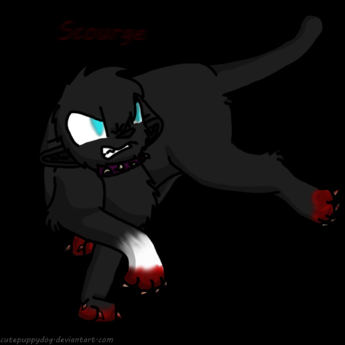 Scourge