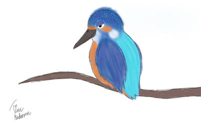 Kingfisher