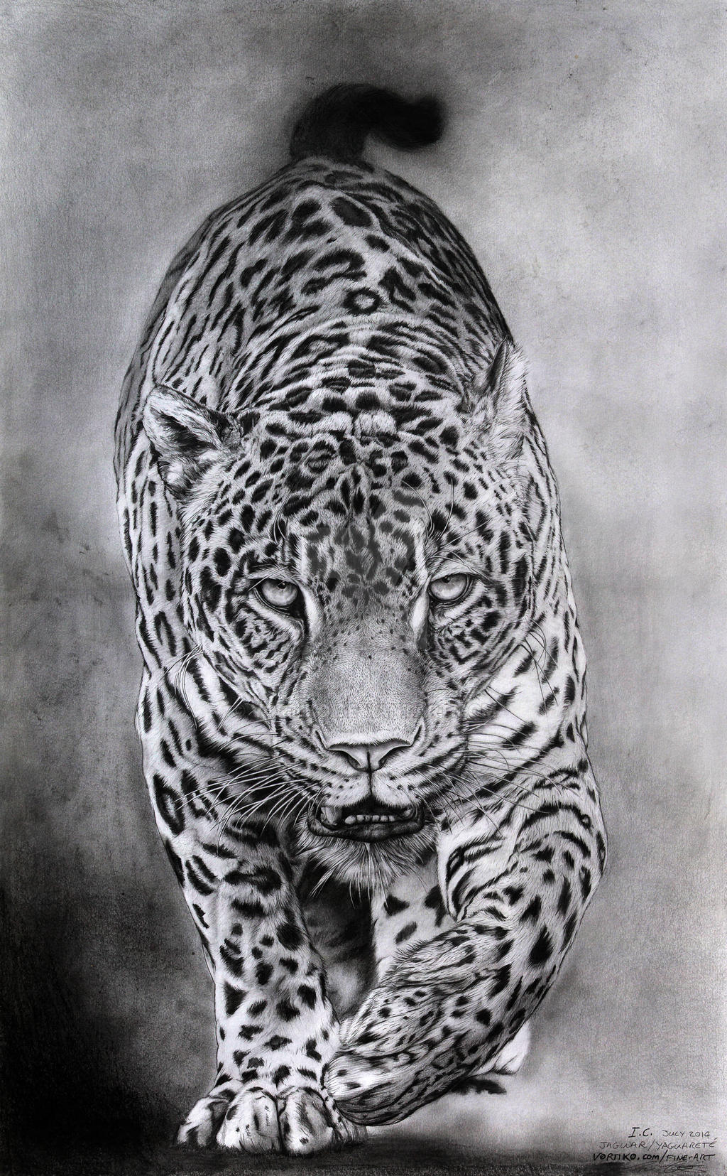 Jaguar_yaguarete