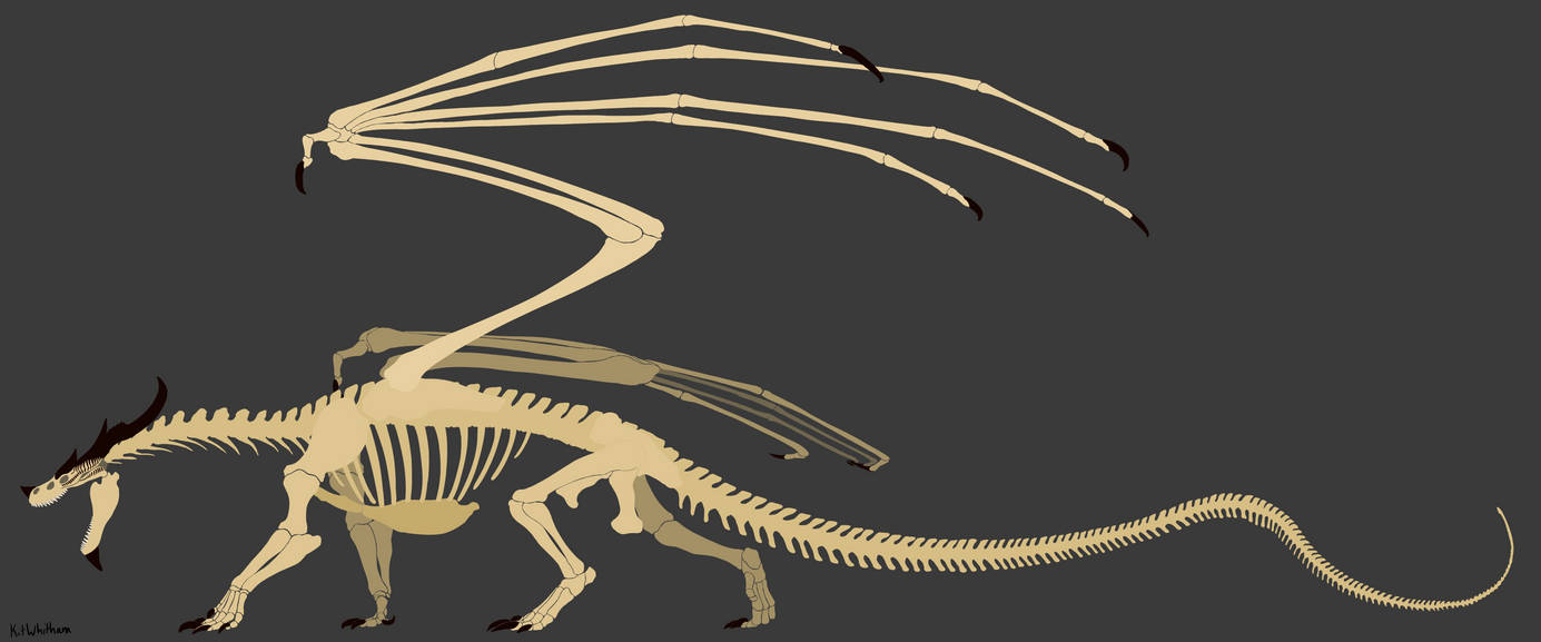 Red Dragon Shell Red Dragon Skeleton by KitWhitham on DeviantArt