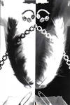 Photogram 5 by panda-pie