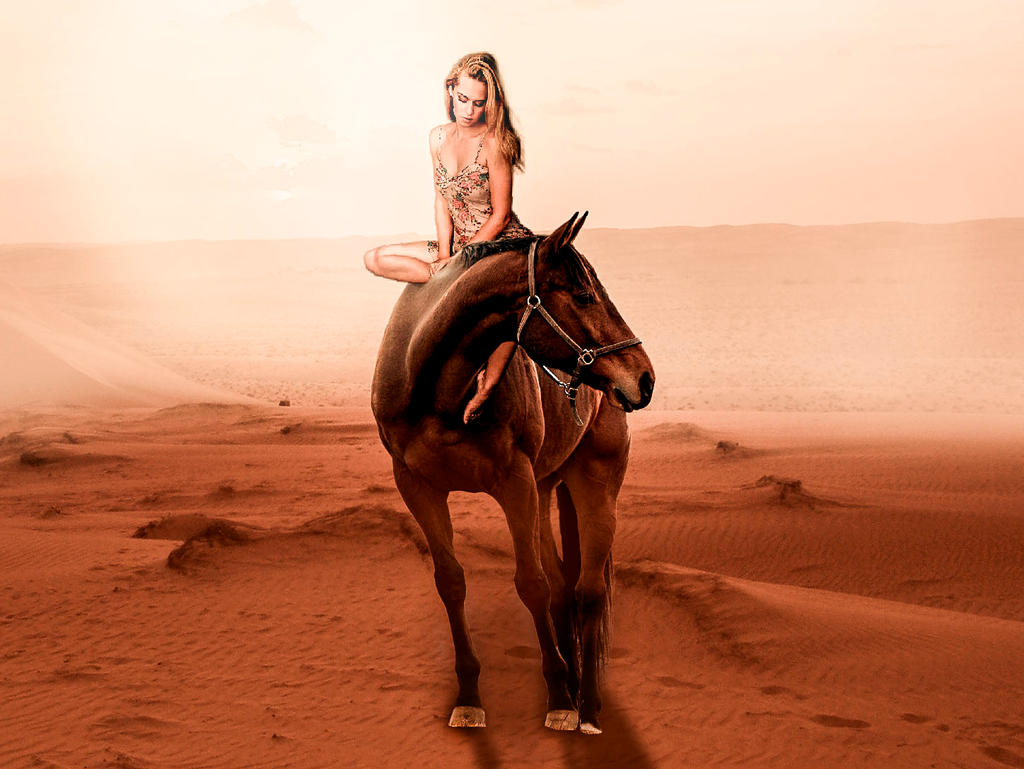 Desert horse