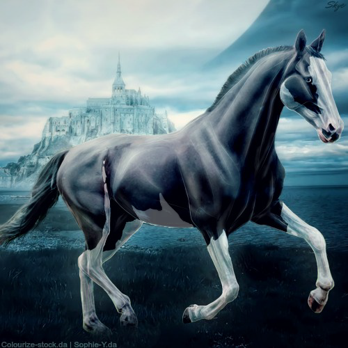 Horse Avatar | Khonsu