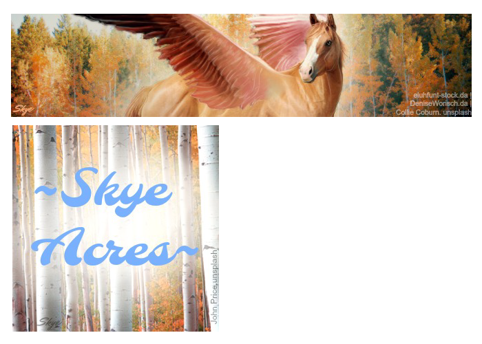 Skye Acres fall Banner+Avi DA