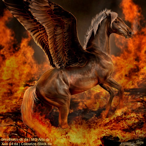 HEE || Horse Avatar | Dimmy's Phoenix