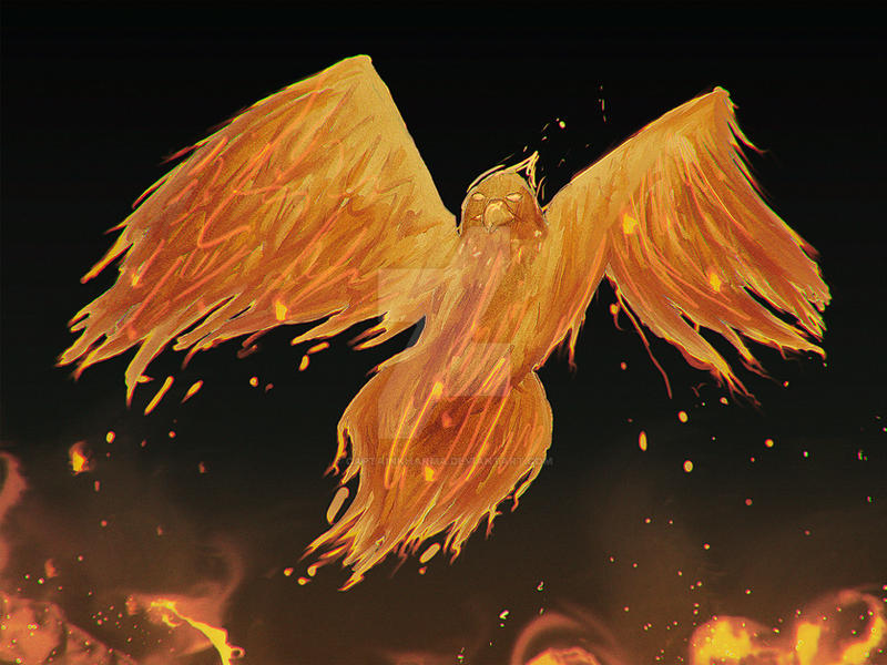The Burning Phoenix by CaptainKharma on DeviantArt