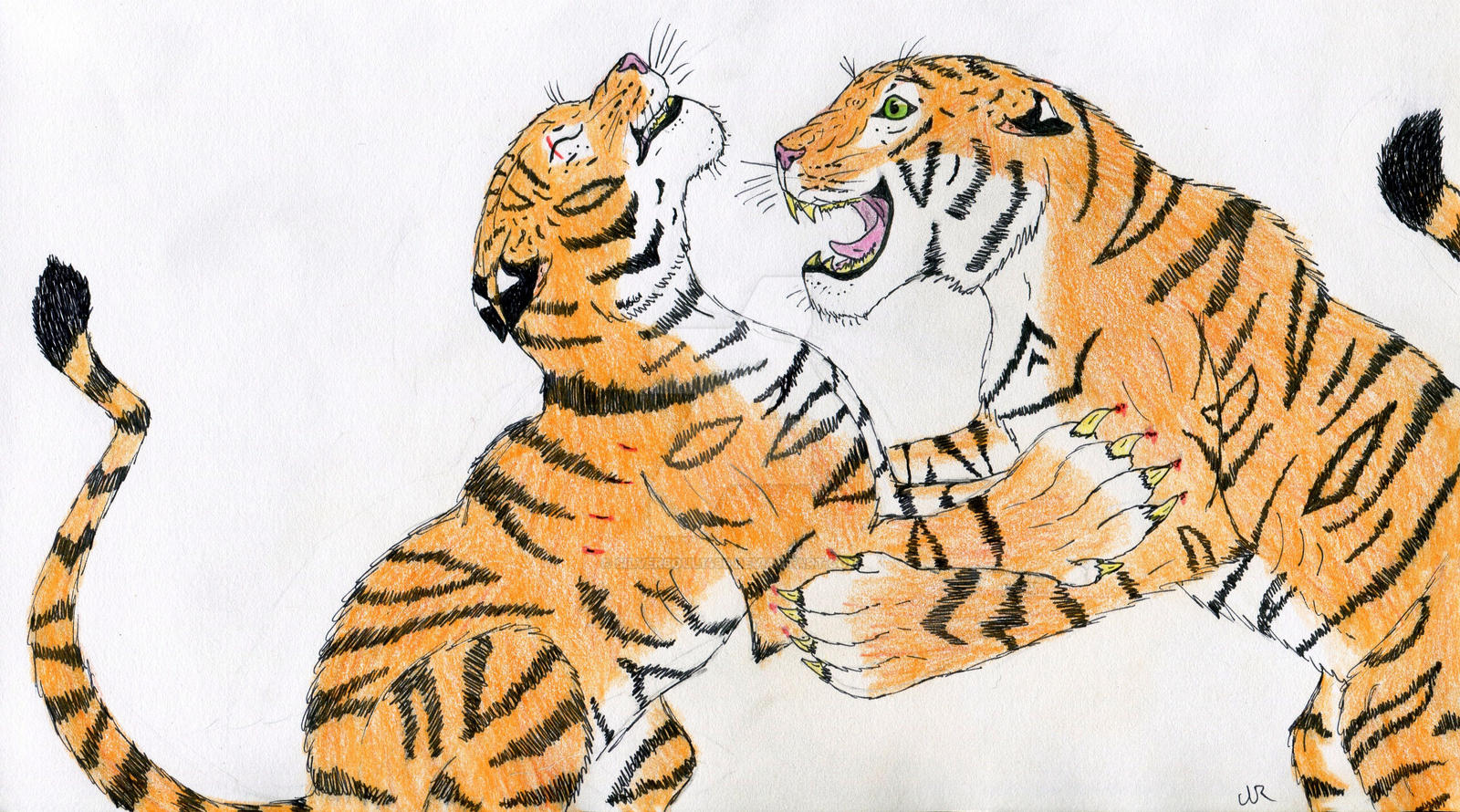 Tiger Duel