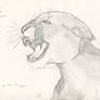 Cougar Roar Speed Sketch