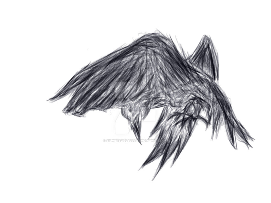Swooping Raven by SilverSoul1496 on DeviantArt