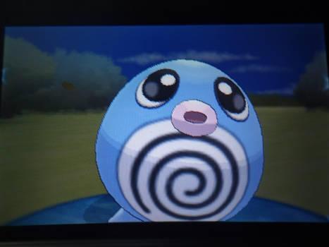 Shiny Poliwag