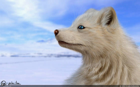 Polar Fox 2