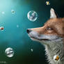 fox fantasy