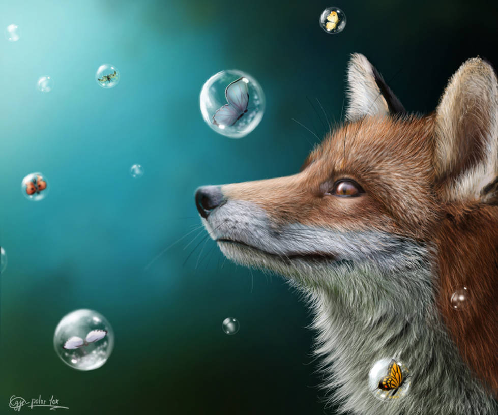 fox fantasy