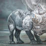 'Rhino love'
