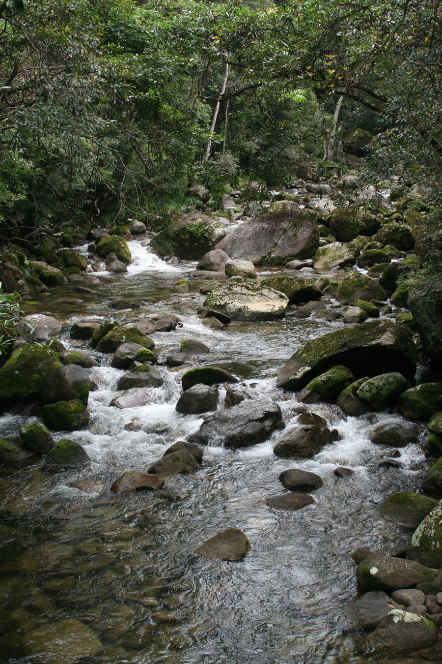 Mossman River