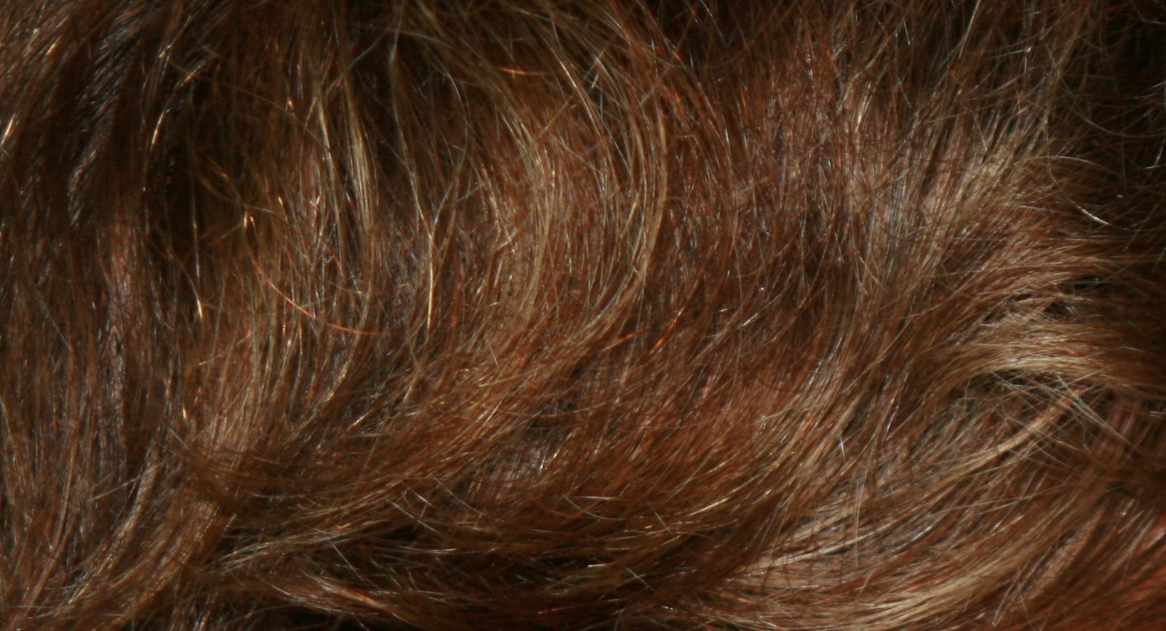 Hair Macro