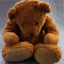 Discarded Bear.5_Mind-Matter