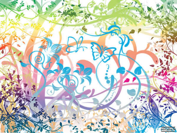 Tropical Rain Forest