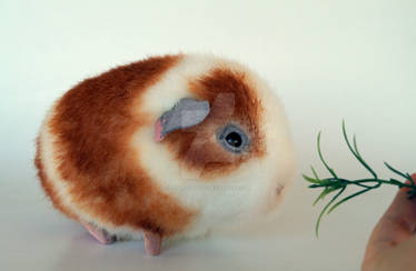 Guinea pig realistic art toy