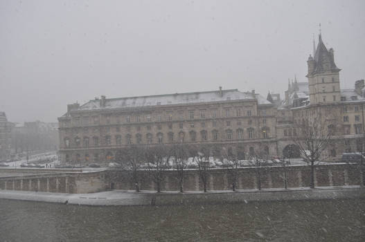Paris By Snow 08 12 2010 8